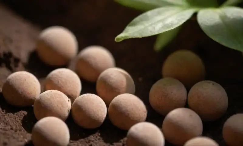 Pelotas de arcilla secas y marrones se agrupan con variaciones sutiles