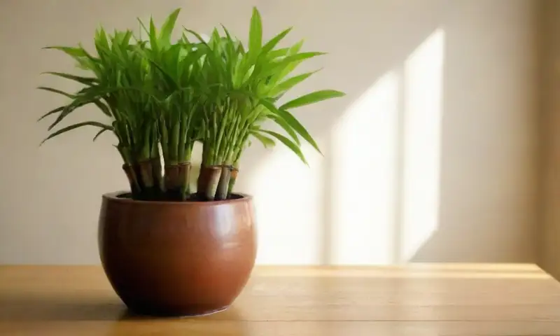 Un arreglo de bambú verde con hojas vibrantes en un jarrón de agua y una maceta de terracota sugiere tranquilidad y crecimiento