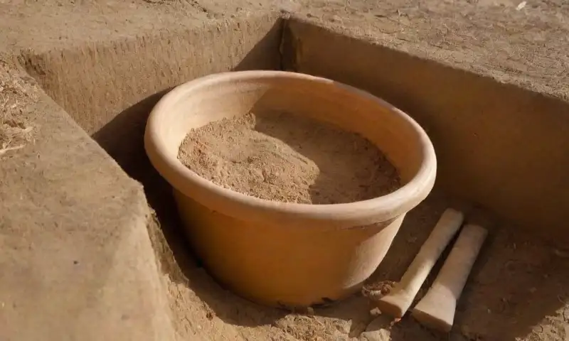 Escena al aire libre bañada por el sol con tonos terrosos