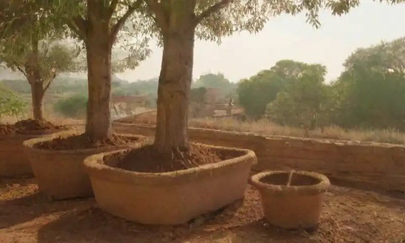 Un entorno al aire libre con ladrillos de adobe en construcción, tierra húmeda, herramientas y una mano trabajadora, todo iluminado por la luz del sol y rodeado de vegetación