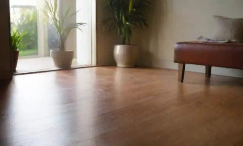 Un luminoso y cálido suelo de madera refleja rayos del sol, con un ambiente ordenado y fresco rodeado de plantas y utensilios de limpieza