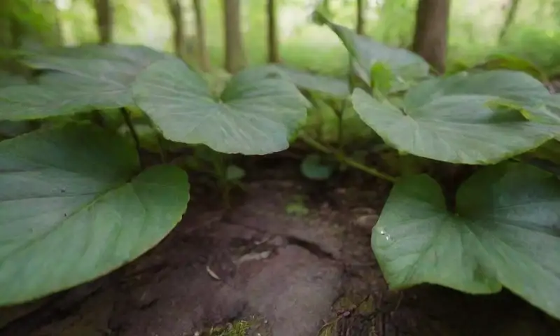 Un frondoso árbol muestra hojas brillantes y variados tonos, ramas robustas y un suelo rico en vida, todo bajo un juego de luces y sombras que resalta su belleza natural
