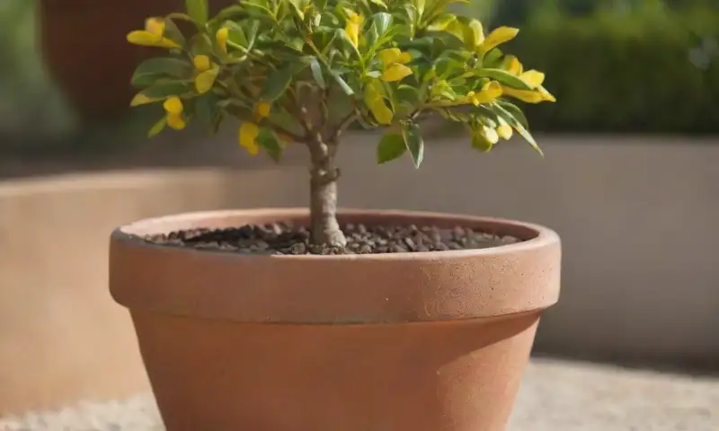 Un vibrante limonero en maceta, con hojas verdes, flores amarillas y un ambiente sereno