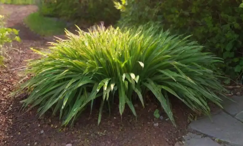Un jardín vibrante de hojas de citronela verdes se mece suavemente, enmarcado por un cercado de hierro forjado, con gotas de rocío y un contraste de colores bajo un cielo azul