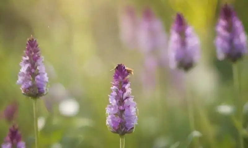 Escena de jardín vibrante con flores de colores vivos, un ambiente sereno y armónico, y abejas zumbando entre la vegetación