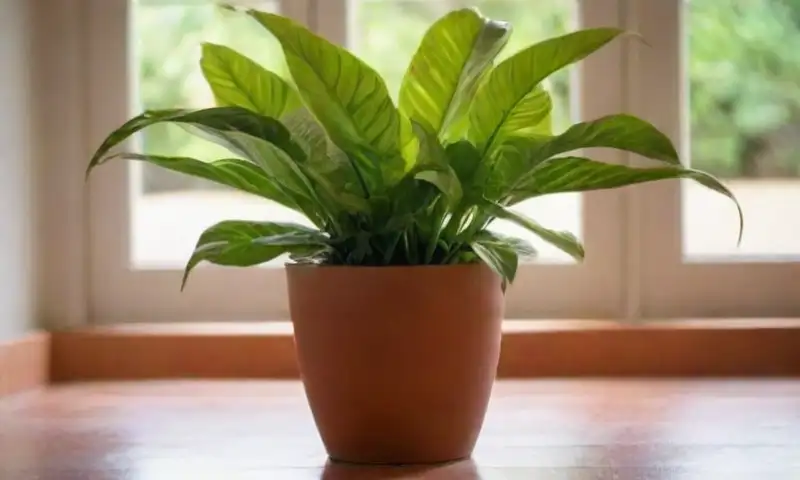 Un jardín interior tranquilo con hojas verdes brillantes